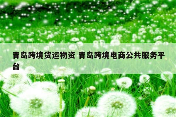 青岛跨境货运物资 青岛跨境电商公共服务平台
