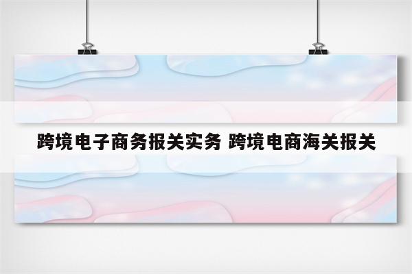 跨境电子商务报关实务 跨境电商海关报关