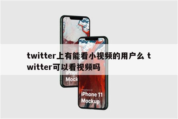twitter上有能看小视频的用户么 twitter可以看视频吗