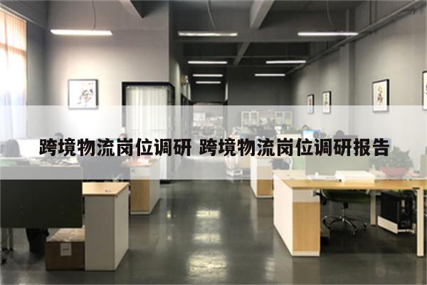 跨境物流岗位调研 跨境物流岗位调研报告