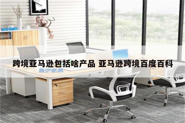 跨境亚马逊包括啥产品 亚马逊跨境百度百科