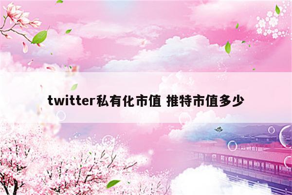 twitter私有化市值 推特市值多少