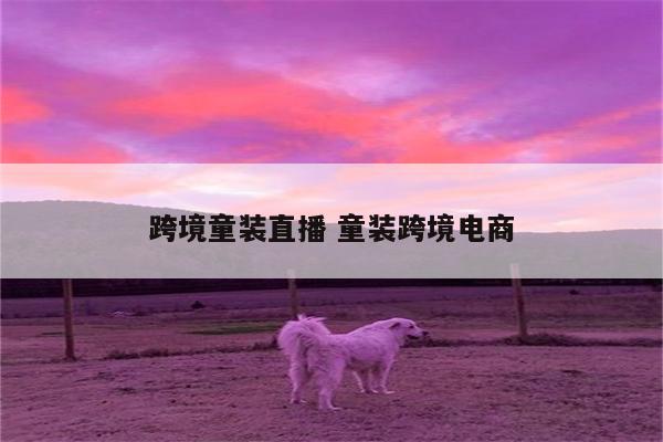 跨境童装直播 童装跨境电商