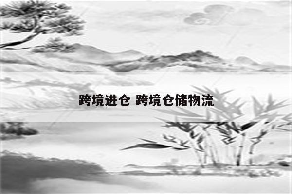 跨境进仓 跨境仓储物流