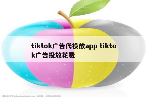 tiktok广告代投放app tiktok广告投放花费