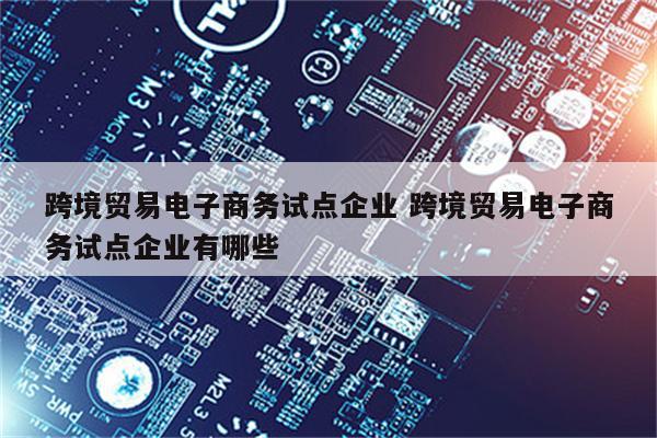 跨境贸易电子商务试点企业 跨境贸易电子商务试点企业有哪些