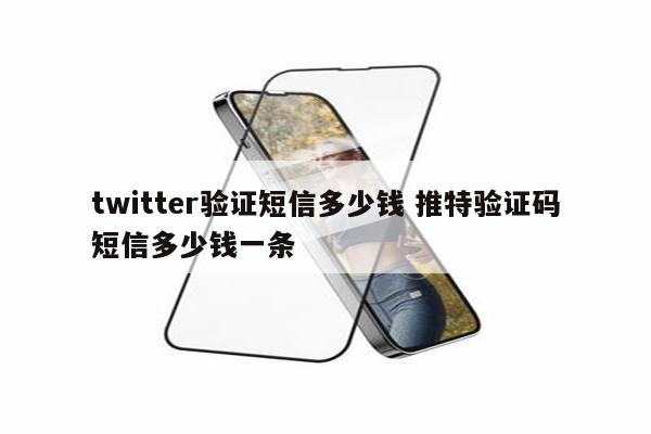 twitter验证短信多少钱 推特验证码短信多少钱一条