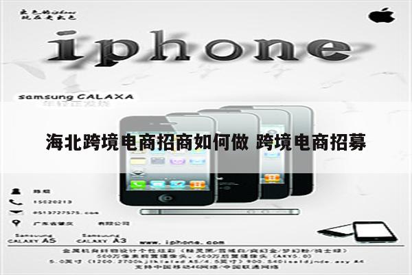海北跨境电商招商如何做 跨境电商招募