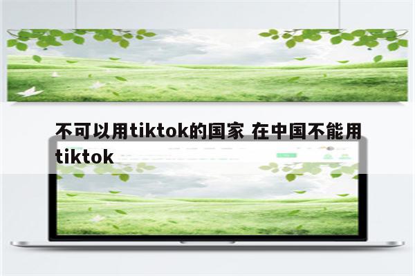 不可以用tiktok的国家 在中国不能用tiktok