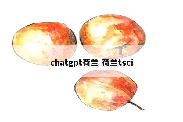 chatgpt荷兰 荷兰tsci