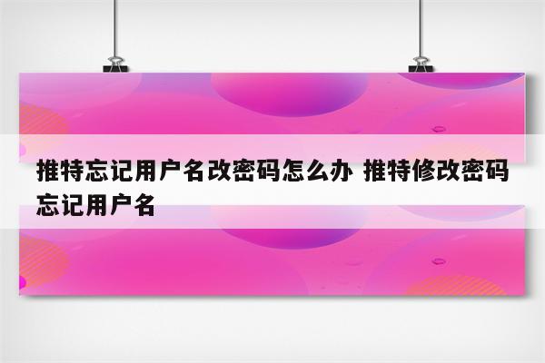 推特忘记用户名改密码怎么办 推特修改密码忘记用户名