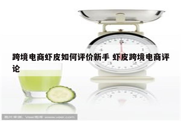 跨境电商虾皮如何评价新手 虾皮跨境电商评论