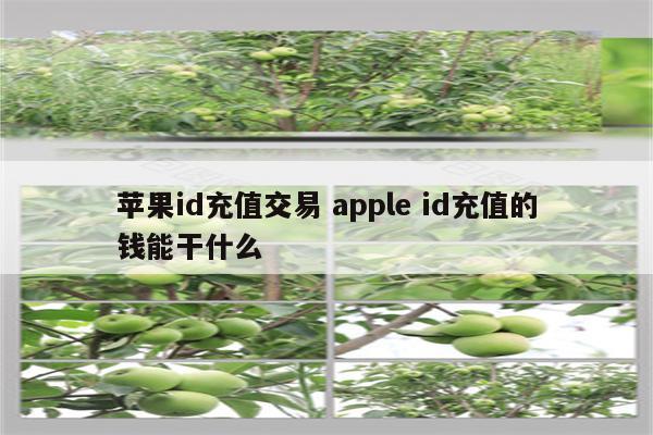 苹果id充值交易 apple id充值的钱能干什么