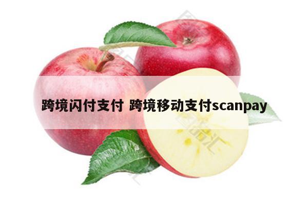 跨境闪付支付 跨境移动支付scanpay