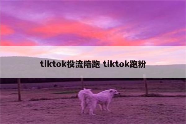 tiktok投流陪跑 tiktok跑粉