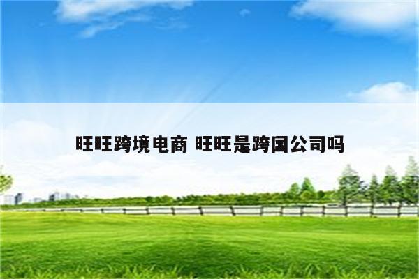 旺旺跨境电商 旺旺是跨国公司吗