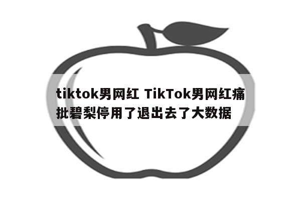 tiktok男网红 TikTok男网红痛批碧梨停用了退出去了大数据