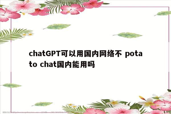 chatGPT可以用国内网络不 potato chat国内能用吗