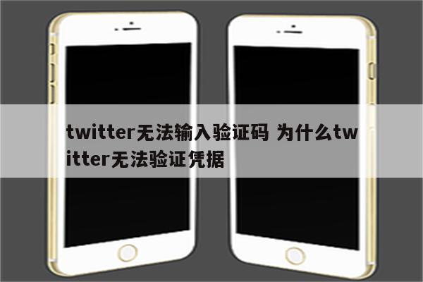 twitter无法输入验证码 为什么twitter无法验证凭据