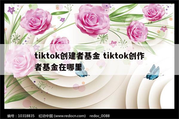 tiktok创建者基金 tiktok创作者基金在哪里