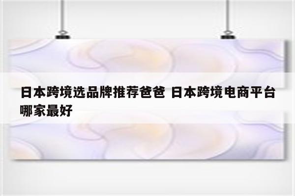 日本跨境选品牌推荐爸爸 日本跨境电商平台哪家最好