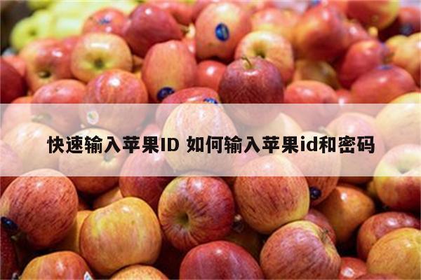 快速输入苹果ID 如何输入苹果id和密码