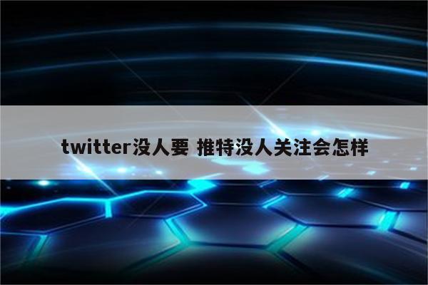 twitter没人要 推特没人关注会怎样