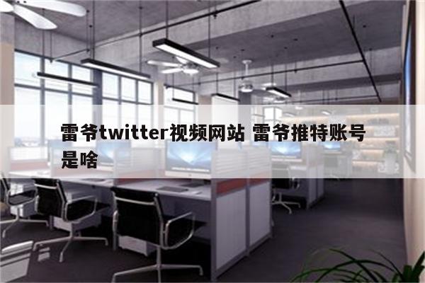 雷爷twitter视频网站 雷爷推特账号是啥