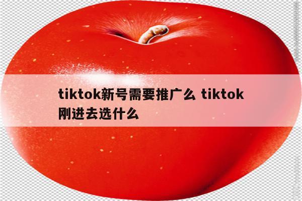 tiktok新号需要推广么 tiktok刚进去选什么