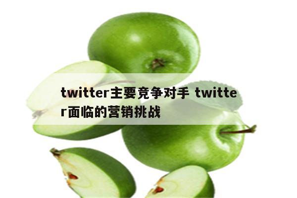 twitter主要竞争对手 twitter面临的营销挑战