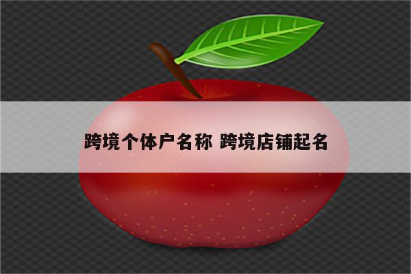 跨境个体户名称 跨境店铺起名