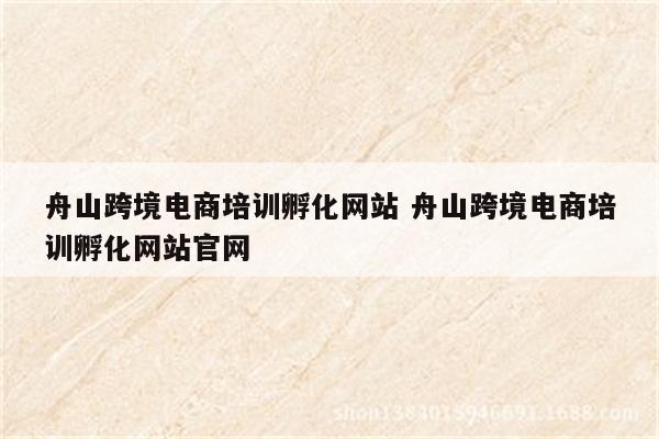 舟山跨境电商培训孵化网站 舟山跨境电商培训孵化网站官网