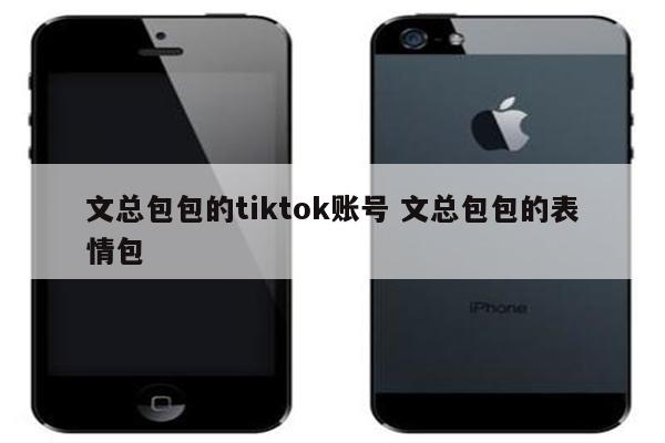 文总包包的tiktok账号 文总包包的表情包