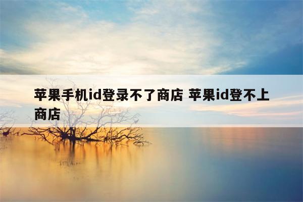 苹果手机id登录不了商店 苹果id登不上商店