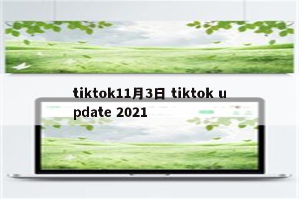 tiktok11月3日 tiktok update 2021
