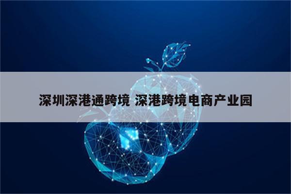深圳深港通跨境 深港跨境电商产业园