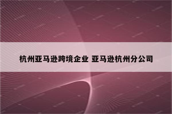 杭州亚马逊跨境企业 亚马逊杭州分公司
