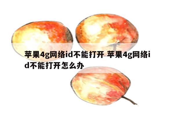 苹果4g网络id不能打开 苹果4g网络id不能打开怎么办