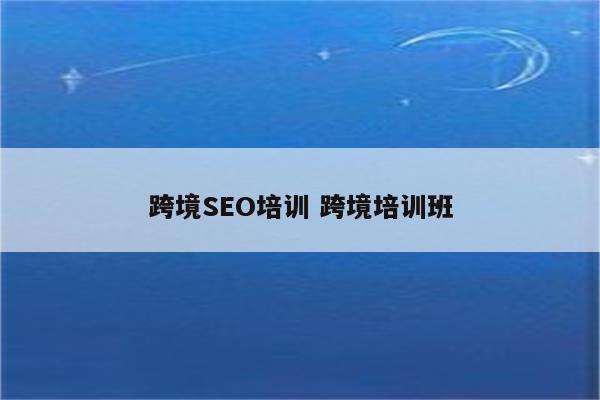 跨境SEO培训 跨境培训班