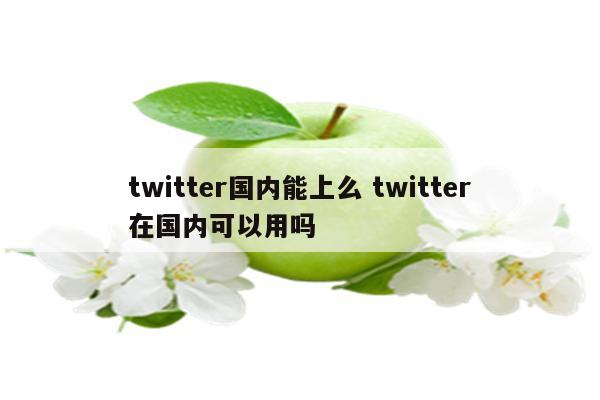 twitter国内能上么 twitter在国内可以用吗