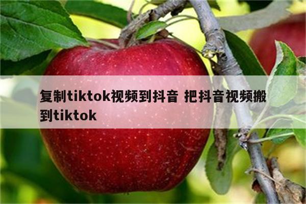 复制tiktok视频到抖音 把抖音视频搬到tiktok