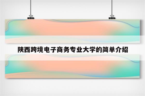 陕西跨境电子商务专业大学的简单介绍
