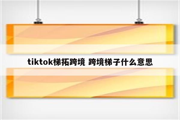 tiktok梯拓跨境 跨境梯子什么意思