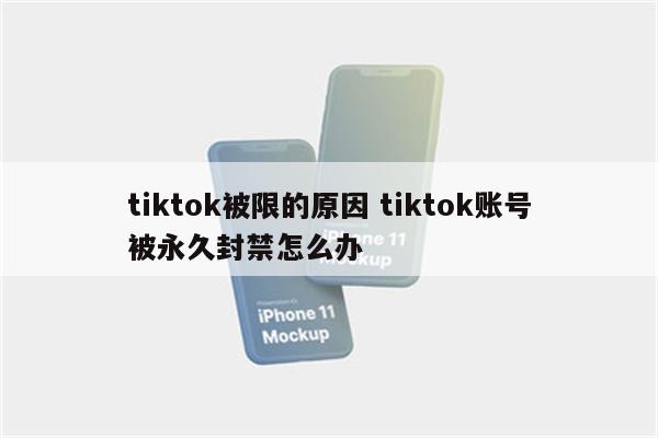 tiktok被限的原因 tiktok账号被永久封禁怎么办
