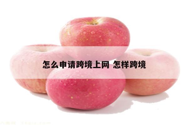 怎么申请跨境上网 怎样跨境
