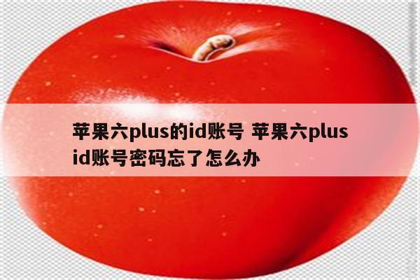 苹果六plus的id账号 苹果六plusid账号密码忘了怎么办