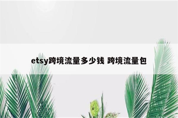 etsy跨境流量多少钱 跨境流量包