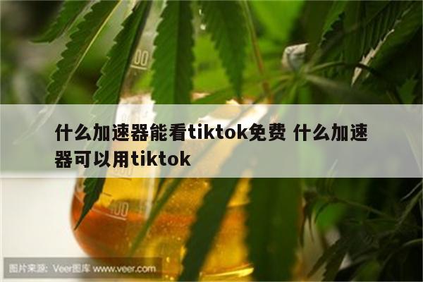 什么加速器能看tiktok免费 什么加速器可以用tiktok