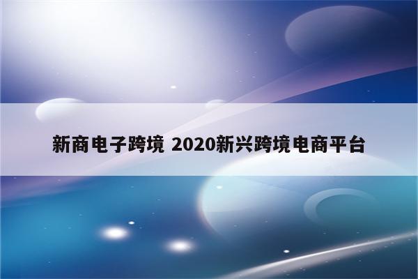 新商电子跨境 2020新兴跨境电商平台