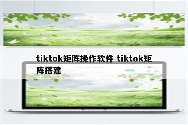 tiktok矩阵操作软件 tiktok矩阵搭建